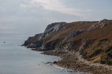 Pointe de Pen-Hir kıyısındaki kayalıklar tepesinde Heather, Crozon yarımadası, Brittany, Fransa