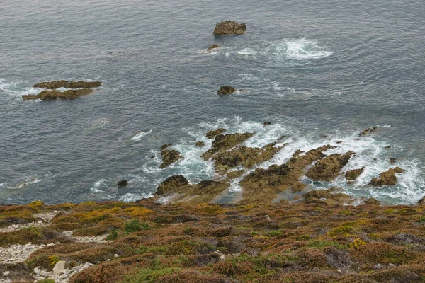 Деталь Скелястого Узбережжя Cap Chevre Красивим Вересом Вкритий Ландшафтом Crozon — стокове фото