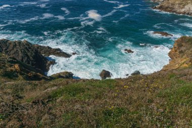 Heather, Pointe du Van 'da okyanusun vahşi dalgalı suları Plogoff, Finistere, Brittany, Fransa