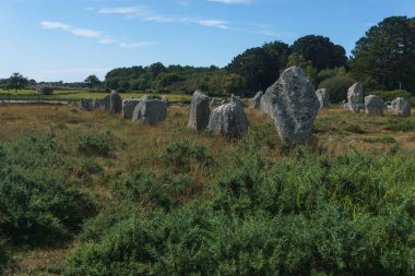 Millerce uzunluktaki megalitik taşlar Carnac, Brittany, Fransa 'daki yeşil çayırlarda hizalandılar