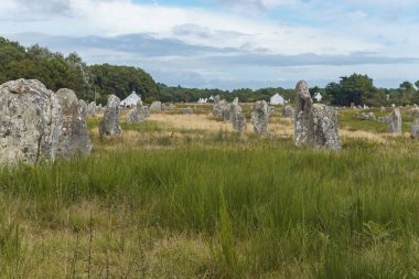 Millerce uzunluktaki megalitik taşlar Carnac, Brittany, Fransa 'daki yeşil çayırlarda hizalandılar