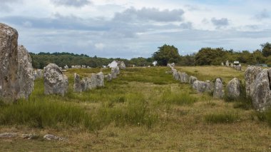 Millerce uzunluktaki megalitik taşlar Carnac, Brittany, Fransa 'daki yeşil çayırlarda hizalandılar