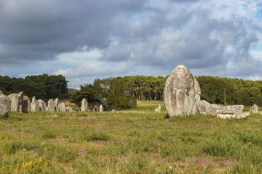 Millerce uzunluktaki megalitik taşlar Carnac, Brittany, Fransa 'daki yeşil çayırlarda hizalandılar