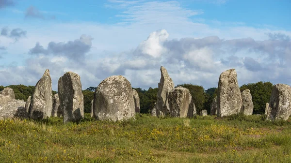stock image Miles long megalithic stones alignment on green meadow in Carnac, Brittany, France