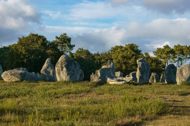 Millerce uzunluktaki megalitik taşlar Carnac, Brittany, Fransa 'daki yeşil çayırlarda hizalandılar