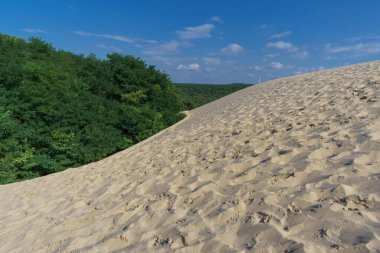 Sandy dune du Pilat, Avrupa 'nın en büyük kum tepesi. Çam ormanı, Arcachon, Yeni Aquitaine, Fransa