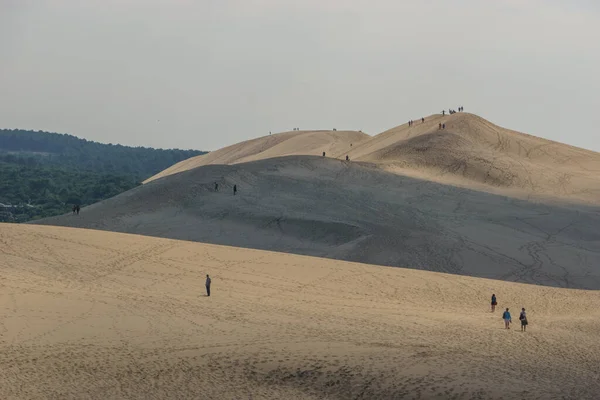 Touristes Debout Sur Dune Pilat Grande Dune Europe Avec Pinède — Photo
