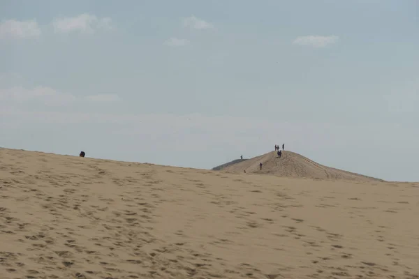 Touristes Debout Sur Dune Pilat Grande Dune Europe Arcachon Nouvelle — Photo