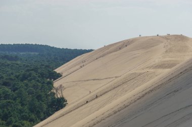 Sandy dune du Pilat, Avrupa 'nın en büyük kum tepesi. Çam ormanı, Arcachon, Yeni Aquitaine, Fransa
