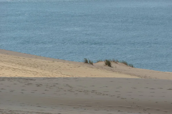 Θίνες Ατλαντικού Και Αμμόλοφος Λίγο Πράσινο Γρασίδι Dune Pilat Arcachon — Φωτογραφία Αρχείου