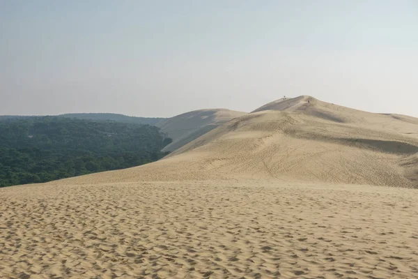 Sandy Dune Pilat Μεγαλύτερος Αμμόλοφος Στην Ευρώπη Πευκοδάσος Arcachon Nouvelle — Φωτογραφία Αρχείου