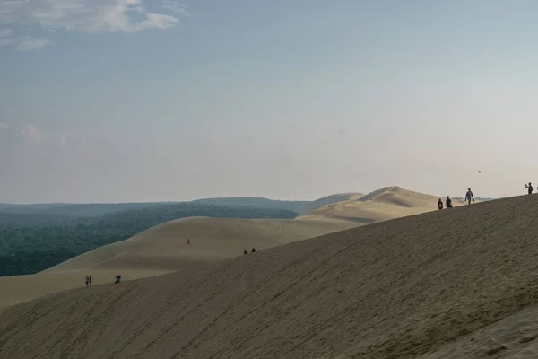 Touristes Debout Sur Dune Pilat Grande Dune Europe Avec Pinède — Photo