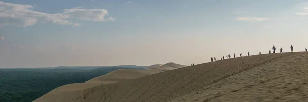 Панорама Туристів Стоять Дюн Пілаті Найбільшій Піщаній Дюні Європі Сосновим — стокове фото
