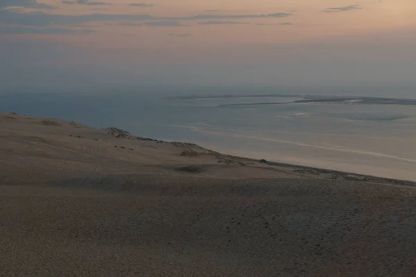 Herbe Solitaire Face Mer Sur Dune Pilat Grande Dune Europe — Photo