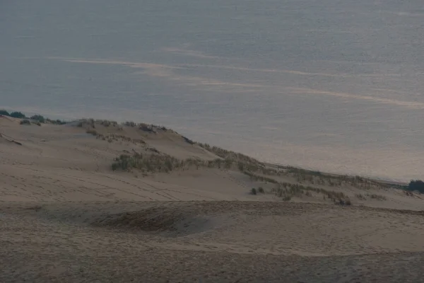Μοναχικό Γρασίδι Μπροστά Στη Θάλασσα Στον Αμμόλοφο Pilat Τον Μεγαλύτερο — Φωτογραφία Αρχείου