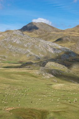 Mavi güneşli bir günde otlayan koyun sürüsüyle Pirene Dağları 'nın güzel manzarası Col du Pourtalet, Yeni Aquitaine Fransa