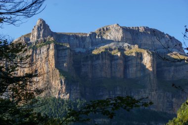 Pireneler 'deki Ordesa Kanyonu' nun duvarlarında kaya oluşumu, Ordesa y Monte Perdido Ulusal Parkı, Aragon, Huesca, İspanya