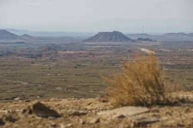 Bardenas Reales, Arguedas, Navarra, İspanya 'nın kurak platosunun çöl manzarasında kuru çalı.