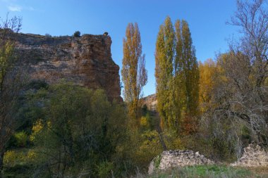 İspanya, Segovia, Sepulveda yakınlarındaki Hoces del Duraton doğal parkında kaya oluşumu ve kavak ağaçlarıyla güzel manzara.