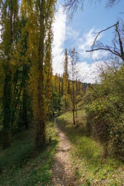 Sepulveda, Segovia, İspanya yakınlarındaki Hoces del Duraton doğal parkının sonbaharında kavak ağaçlarının olduğu güzel patika.