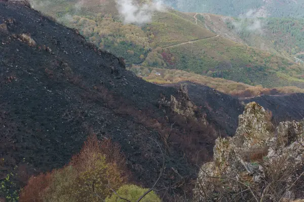 Black ground of a burned forest at hills of galician landscape near Ourense Spain