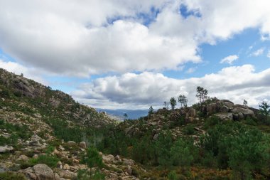 Yeşil bitki örtülü granit kayaların dağ manzarası, Peneda-Geres Ulusal Parkı, Vilar da Veiga, Portekiz