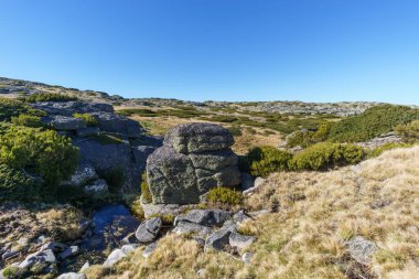 Torre yüksek platosunun güzel kayalık manzarası. Güneşli sonbahar gününde küçük bir dağ deresi bitkisi, Torre, Serra da Estrela, Portekiz