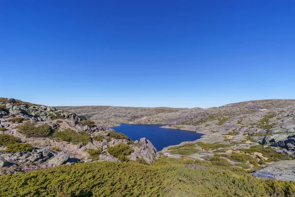 Güneşli bir sonbahar gününde, biraz bitki örtüsü ve göl kenarındaki lagoa do cavao das quelhas, Torre, Serra da Estrela, Portekiz