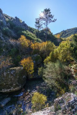 Şelale Poco do Inferno 'dan Ribeira de Leandres Dağı güzel kayalık arazide sonbahar zamanı, Manteigas, Serra da Estrela, Portekiz