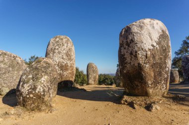 Almendres cromlech antik tarih öncesi taş çemberi Evora, Alentejo, Portekiz yakınlarındaki İber yarımadasının en önemlisidir.