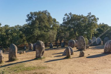 Almendres cromlech antik tarih öncesi taş çemberi Evora, Alentejo, Portekiz yakınlarındaki İber yarımadasının en önemlisidir.