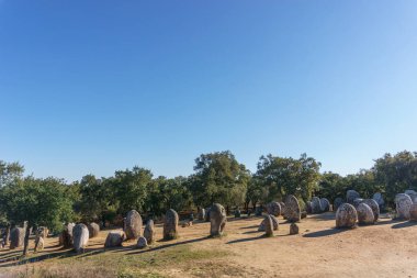 Almendres cromlech antik tarih öncesi taş çemberi Evora, Alentejo, Portekiz yakınlarındaki İber yarımadasının en önemlisidir.
