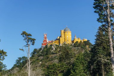 Pena Sarayı, Sintra 'daki ormanlar arasında bir tepenin üstünde. Lizbon, Portekiz