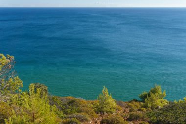 Açık mavi gökyüzünün altında ufukta görünen mavi okyanus dalgalarını ön plandaki ağaçlarla, Algarve, Portekiz