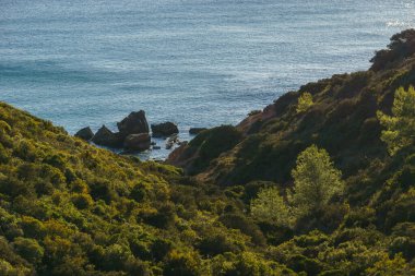 Yeşil bitki örtüsü vadiyi kapladı Atlantik kıyısında, Algarve, Portekiz