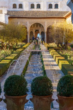 Alhambra Generalife, Granada, Endülüs, İspanya 'da fıskiyeleri olan güzel yeşil bahçe.