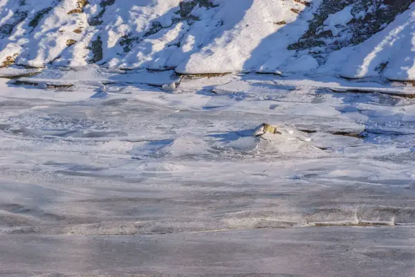 Güneşli bir kış gününde Alp Dağları 'ndaki boş su deposunda buzlar kırılır.