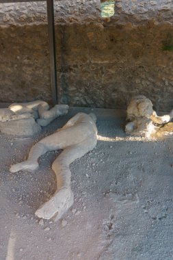 Pompeii 'deki kurbanların alçı taşı Vezüv Dağı, Pompei, Campania, İtalya' daki patlamanın alçıtaşı.