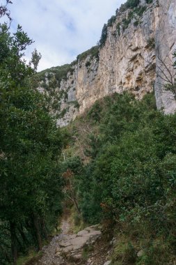 Sentiero degli Dei ya da Tanrı 'nın Yolu Agerola' dan Nocelle 'e giden Amalfi, Salerno, Campania, İtalya
