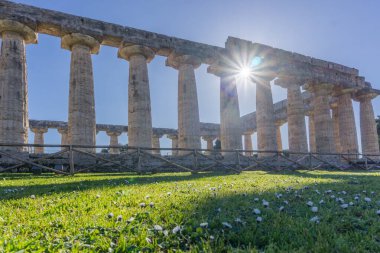 Hera Tapınağı ünlü Paestum Arkeolojik UNESCO Dünya Mirası Alanı, Salerno ili, Campania, İtalya