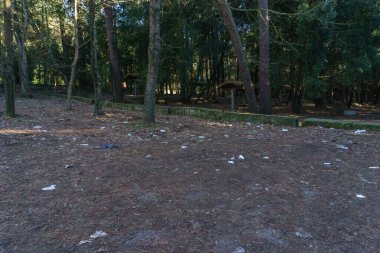 Ormanda çok fazla çöp bulunan çevre kirliliği