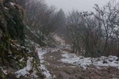 Vosges 'in sisli dağlarında yürüyüş yolu GR 5 Atmosferik fırtınalı bir kış gününde, Alsace, Fransa