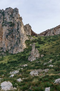 Akdeniz, San Vito Lo Capo, Sicilya, İtalya 'daki Monte Cofano Doğa Parkı' ndaki yeşil bitki örtüsüyle kayalık araziye bakın.