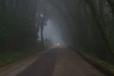 Sisli bir günde ormanda farları yanan araba, Erice, Sicilya, İtalya