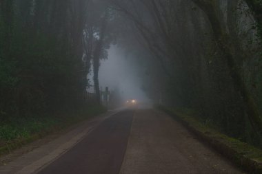 Sisli bir günde ormanda farları yanan araba, Erice, Sicilya, İtalya