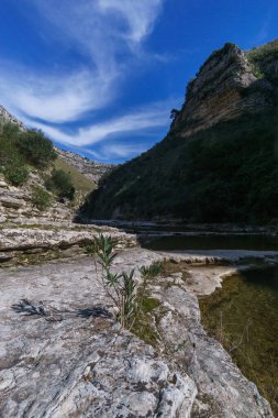 Oriented Nature Reserve Cavagrande del Cassibile, Syracuse, Sicilya, İtalya 'da nehir havuzları olan güzel bir kanyon.