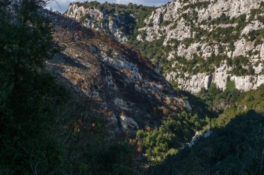 Oriented Nature Reserve Cavagrande del Cassibile, Syracuse, Sicilya, İtalya kanyonunda yanmış bitki örtüsü