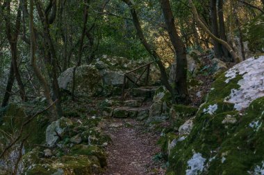 Ormanda yürüyüş yolu Oryantal Doğa Koruma Alanı 'nın güzel kanyonu Cavagrande del Cassibile, Syracuse, Sicilya, İtalya