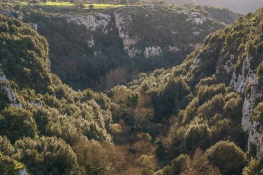 Orman ve nehir, Oryantal Doğa Rezervi 'nin güzel kanyonu Cavagrande del Cassibile, Syracuse, Sicilya, İtalya