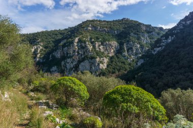 Doğa koruma alanı Pantalica, Siracusa, Sicilya, İtalya 'daki Anapo Vadisi' nin kayalık kanyonuna bakın.